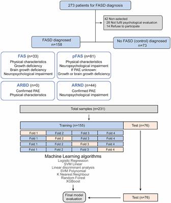 Machine learning algorithms to the early diagnosis of fetal alcohol spectrum disorders